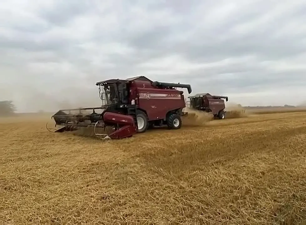 Школьники из Горнозаводского побывали на уборке урожая в колхозе имени Калинина
