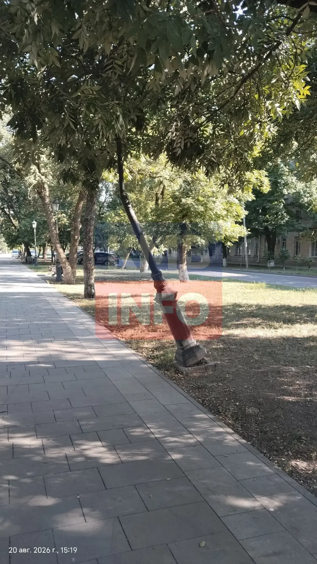 В Георгиевске на аллее Лермонтова сломанный столб держится на ветках деревьев