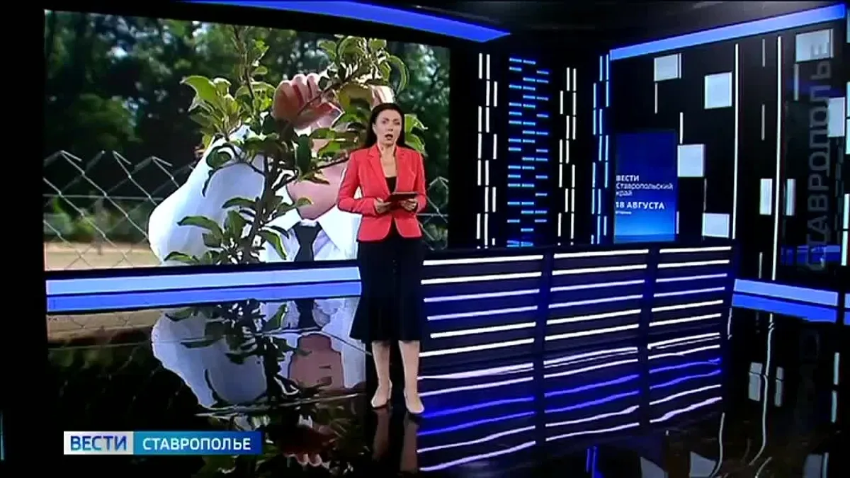 В станице Марьинская школьники вырастили первый урожай яблок