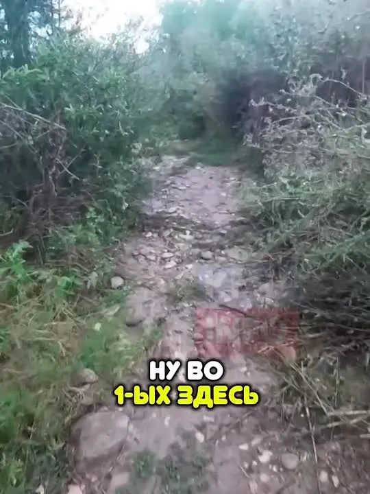 Жители Кисловодска жалуются на неблагоустроенные лесные тропы