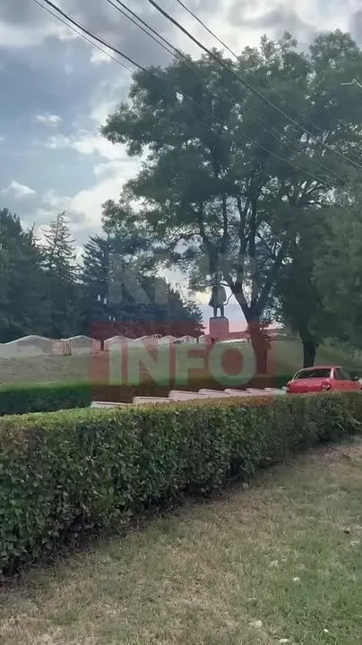 Жители Пятигорска жалуются на стаи собак в центре города