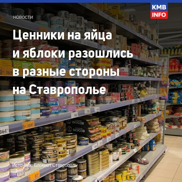 На Ставрополье за неделю подорожали яйца, подешевели яблоки