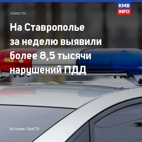 На Ставрополье за неделю выявили более 8,5 тысячи нарушений ПДД
