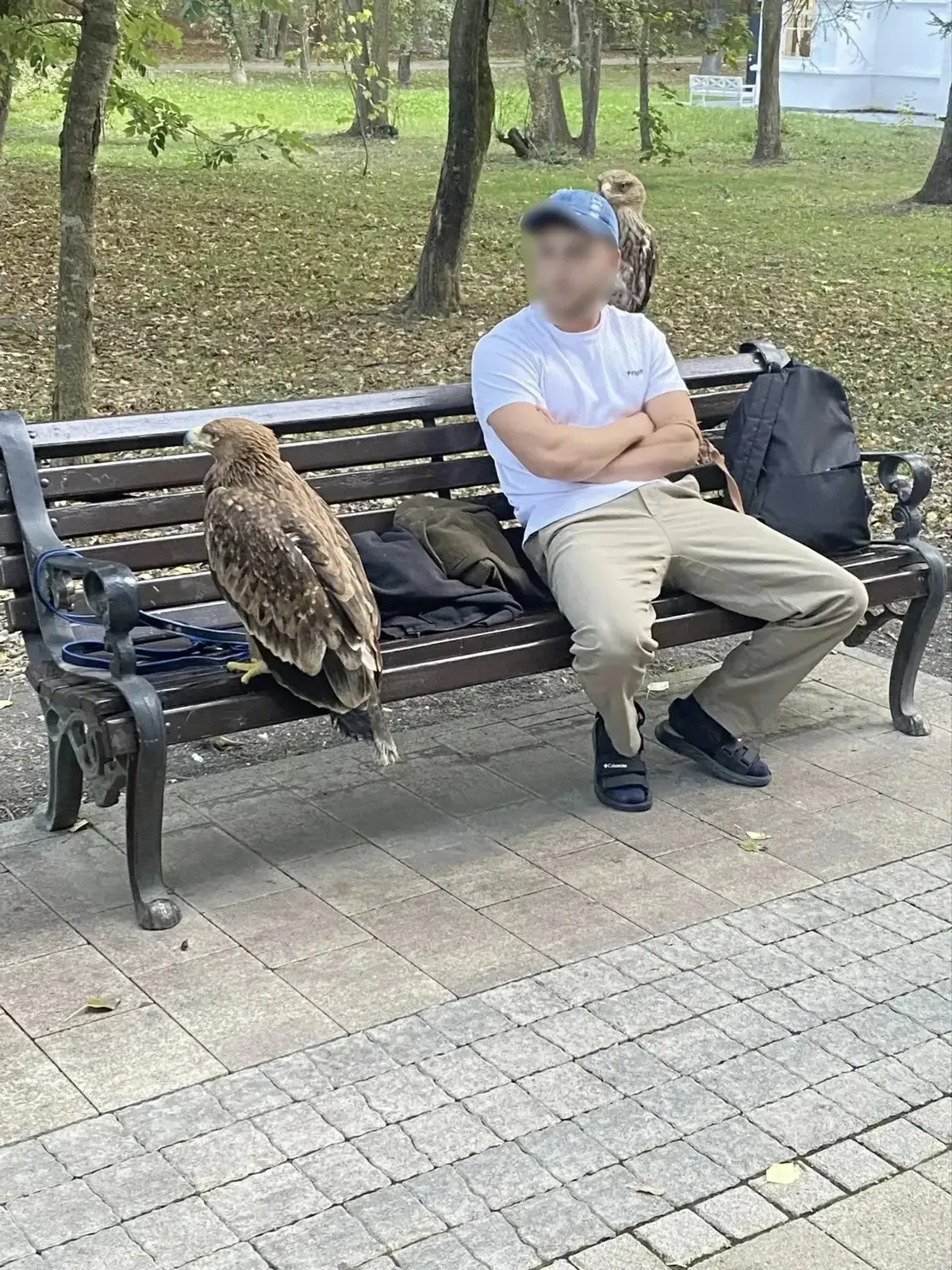 В Ессентуках в Курортном парке пресекли платные фотосессии с дикими птицами