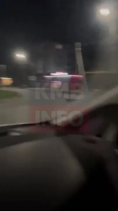 В Георгиевске на пересечении Тургенева и Кочубея жалуются на стаю собак