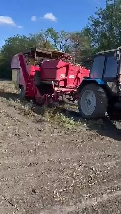В Кировском округе убрали 140 га картофеля при урожайности 180 т/га