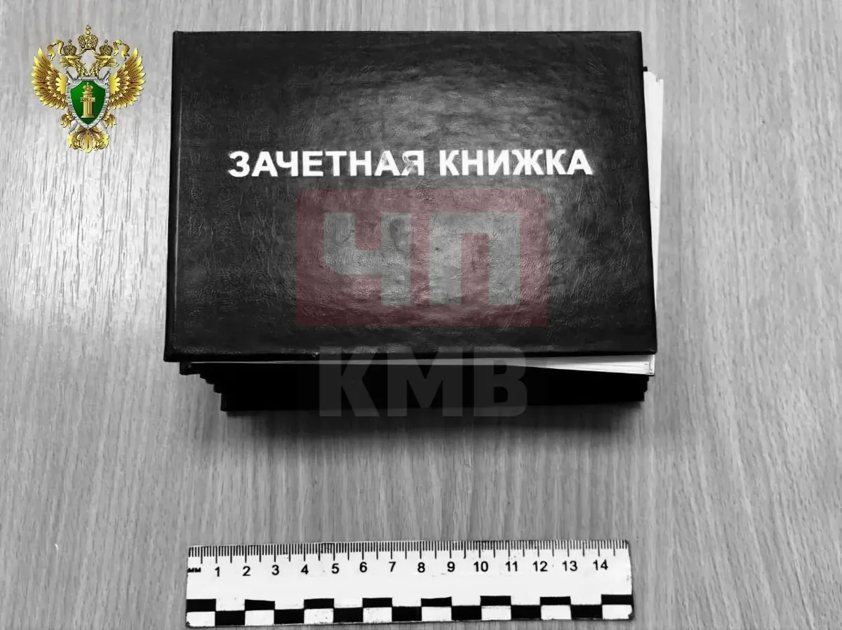 В Новоалександровске трое студентов осуждены за взятки преподавателю