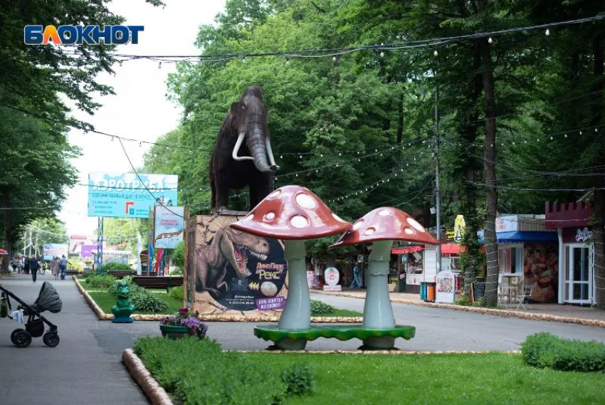 В парке Победы Ставрополя задержали 16-летнего лжесотрудника телефонной компании