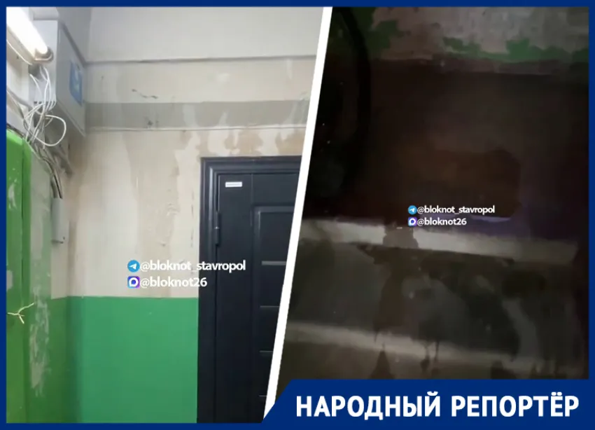 В Ставрополе на Космонавтов, 8 ливень снова подтопил подъезд дома
