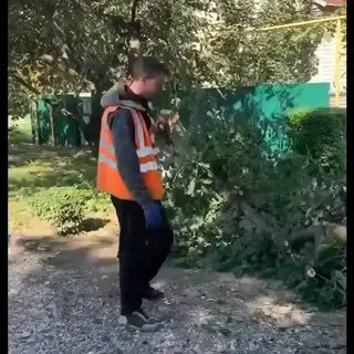 7 октября — снова в работе!