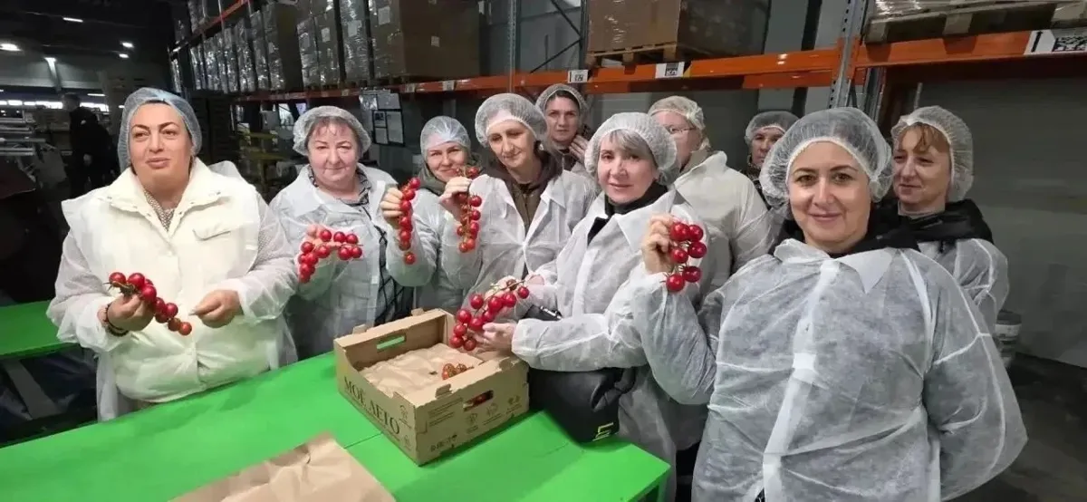 Каникулы — время для роста: педагоги села Новоблагодарное готовят почву для агрокласса