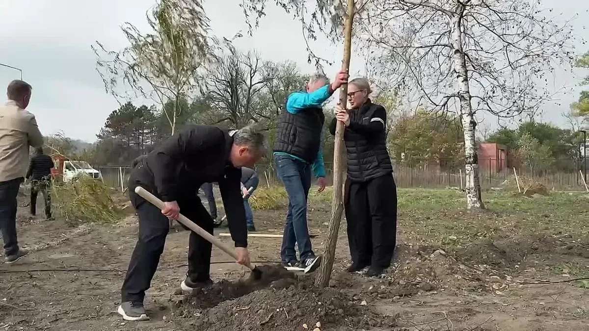 На Новопятигорском озере высадили 110 ив