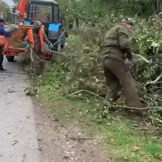 На улице пасмурно, а в «Зелёном городе» работа кипит!