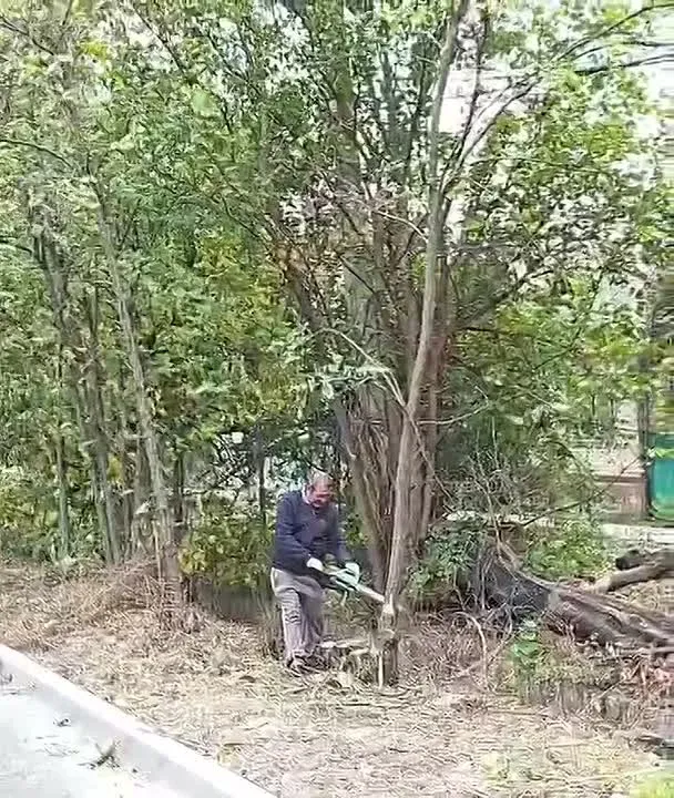 Наводим порядок на Мостовой