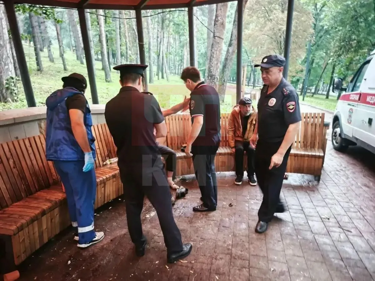 Пьяную компанию задержали в парке Кисловодска