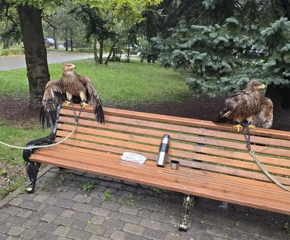 Сегодня изъяли вместе с сотрудниками полиции ещё двух орлов
