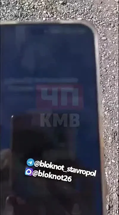 В Благодарном волонтёры из Ессентуков нашли брошенных собак в пункте временного содержания