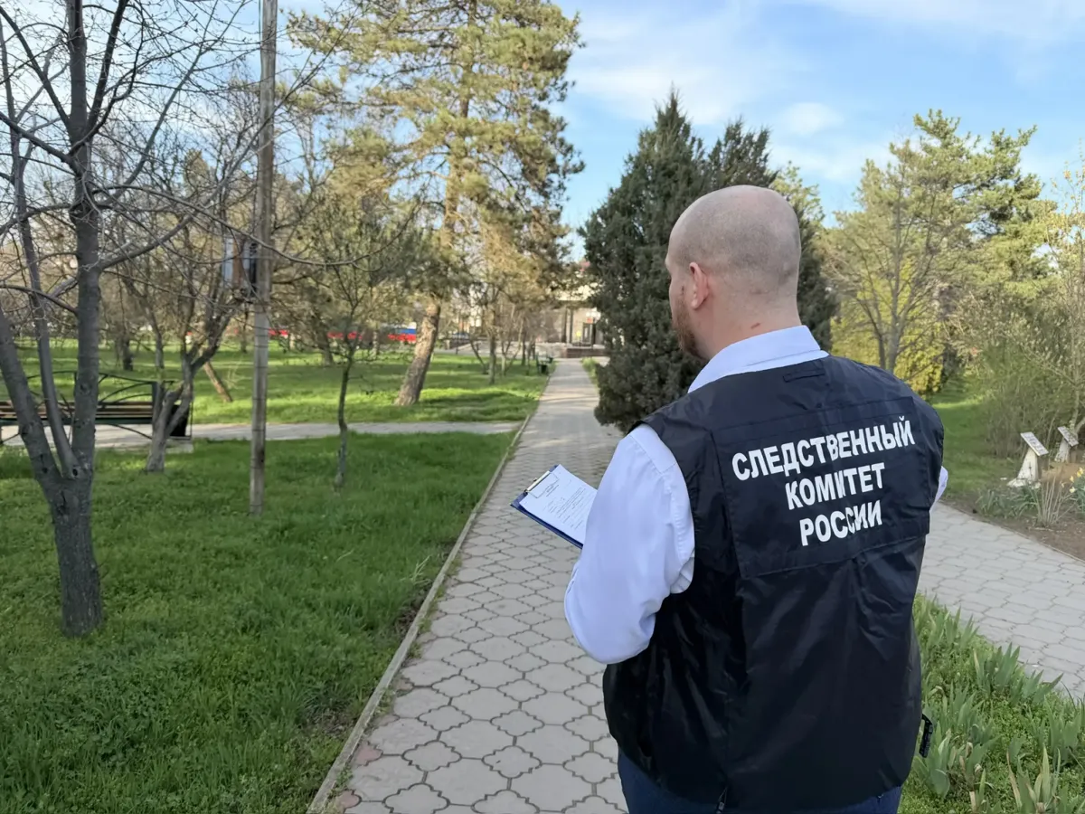 В Ипатовском округе двое подростков обвиняются в вымогательстве