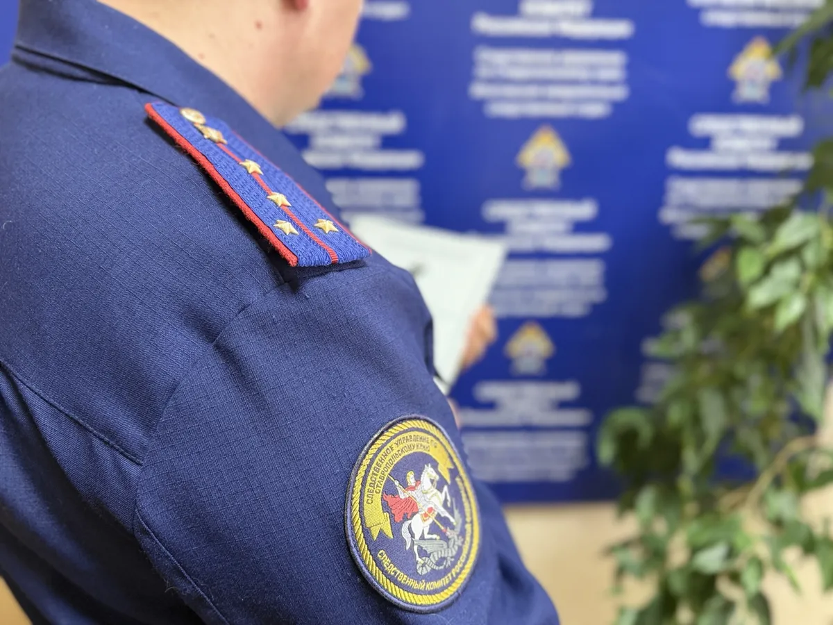 В Ипатовском округе местный житель обвиняется в публичном оправдании терроризма