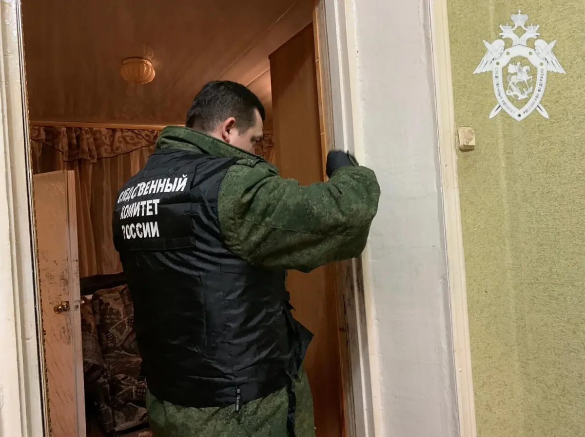 В Невинномысске мужчина предстанет перед судом за нанесение смертельного удара пожилому соседу