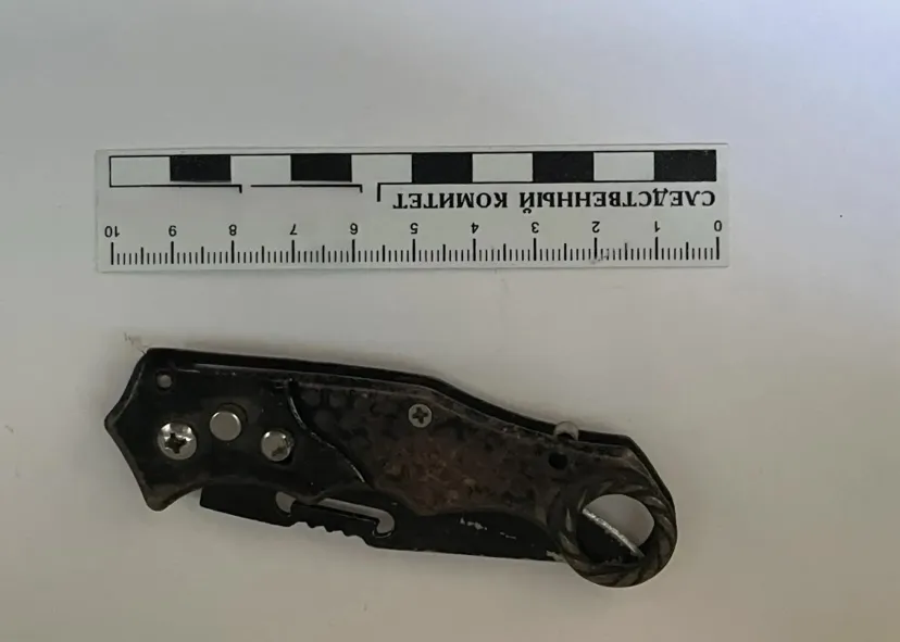 В Петровском районе мужчина признан виновным в покушении на убийство и незаконном проникновении в жилище