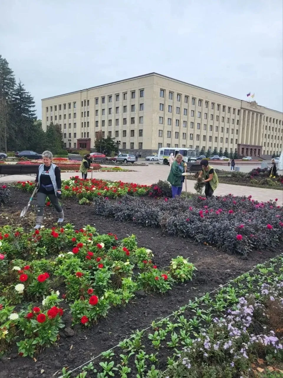 В Ставрополе начали готовить клумбы к осенней высадке тюльпанов