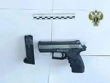 Житель села на Ставрополье отметил Новый год расстрелом старого врага из краденого ствола и попал под суд