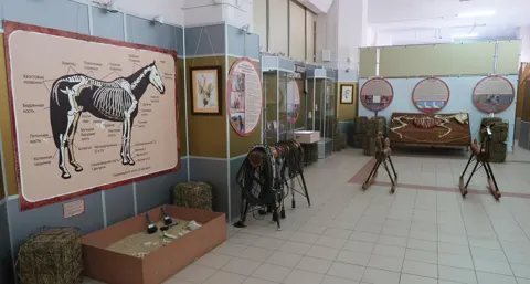 Интерактивная экскурсия «Лошадиные силы»