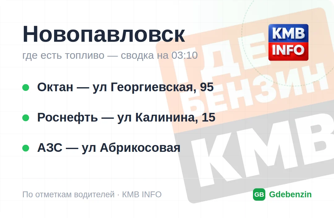 Где есть топливо в Новопавловске: 3 АЗС, обновлено на 02:00