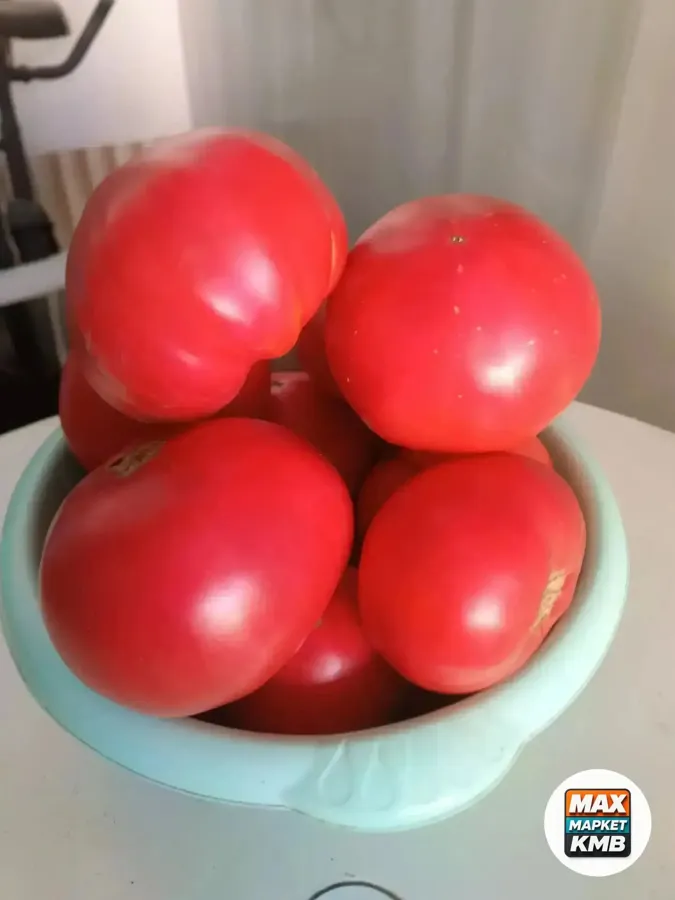 Розовый помидор крупный