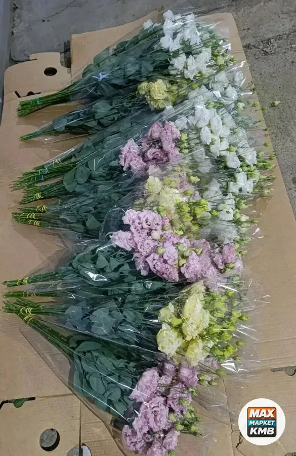 Эустома, срезанные цветы