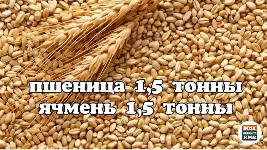 Пшеница и ячмень, 3 тонны
