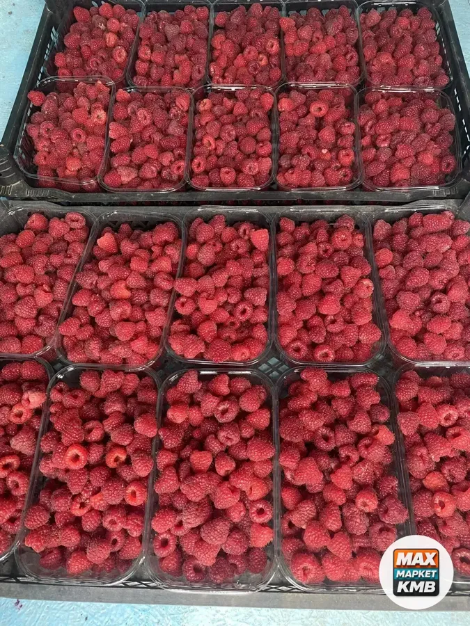 Малина