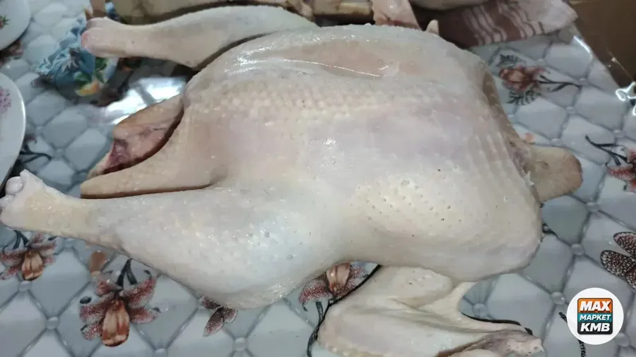 Мясо домашней индейки
