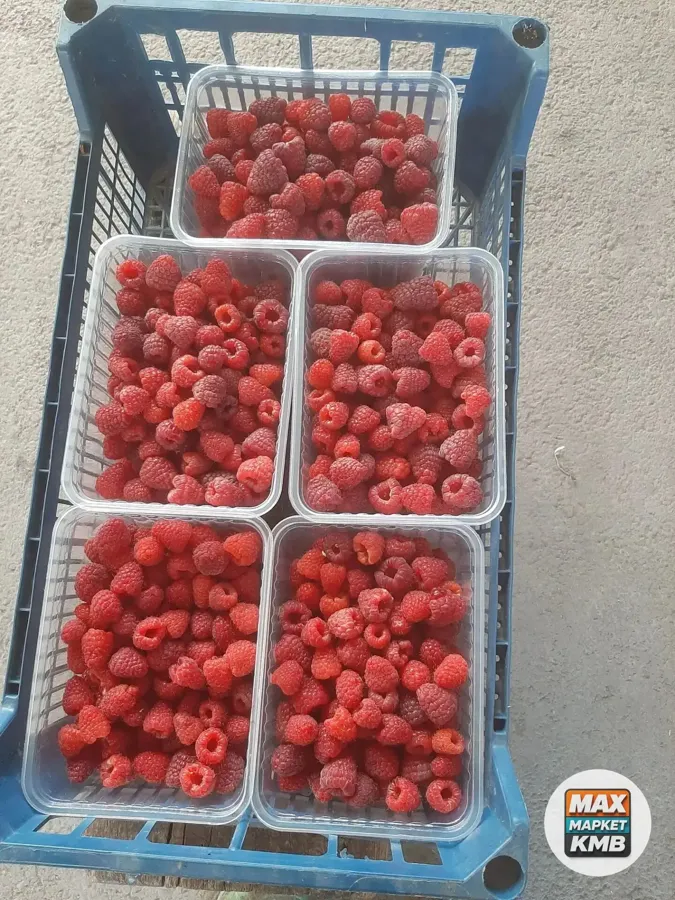 Малина свежая, 400 ₽/кг