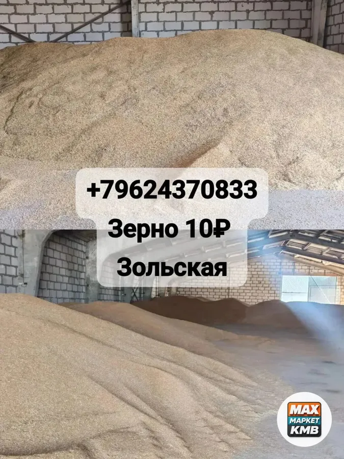 Зерно 2026 года