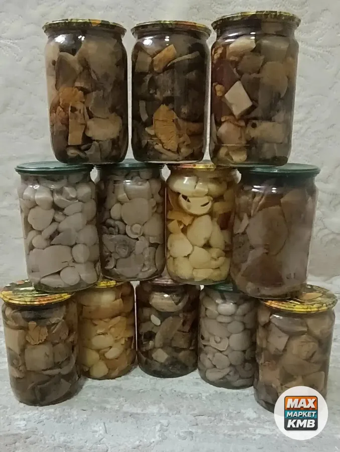 Маринованные лесные грибы