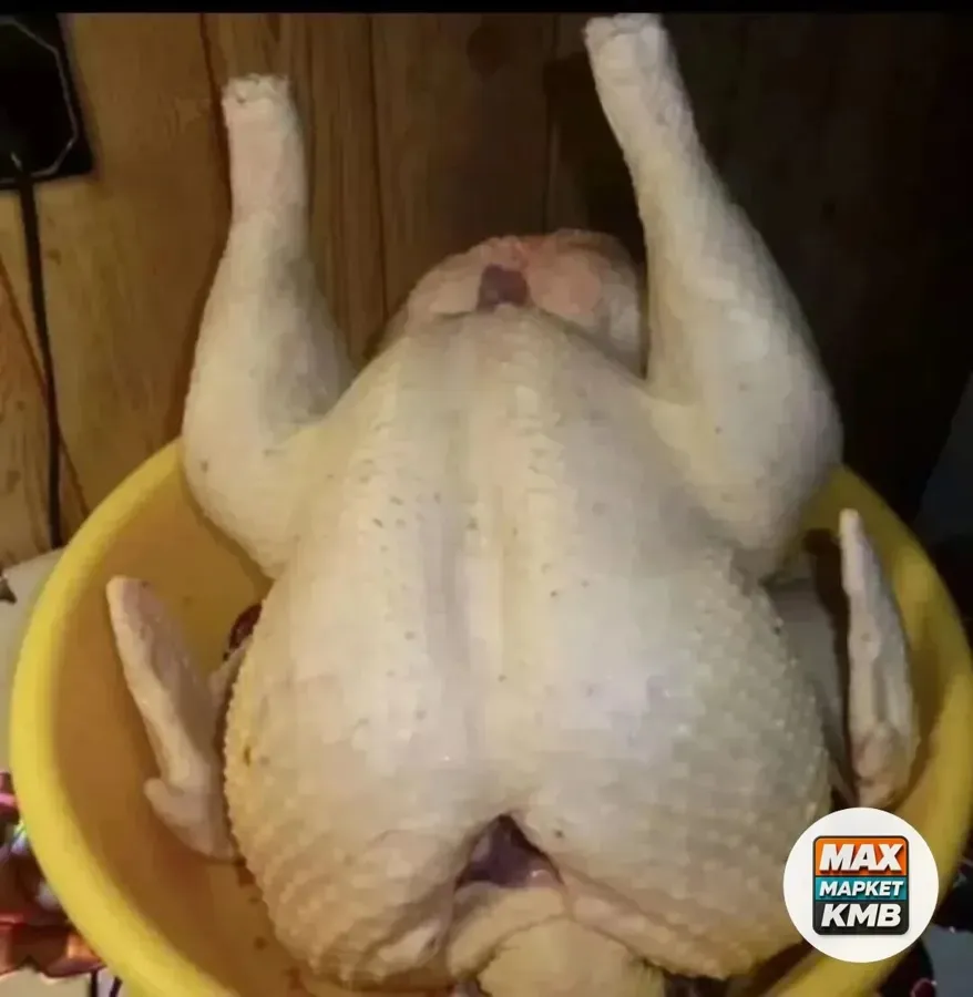 Домашнее мясо индейки