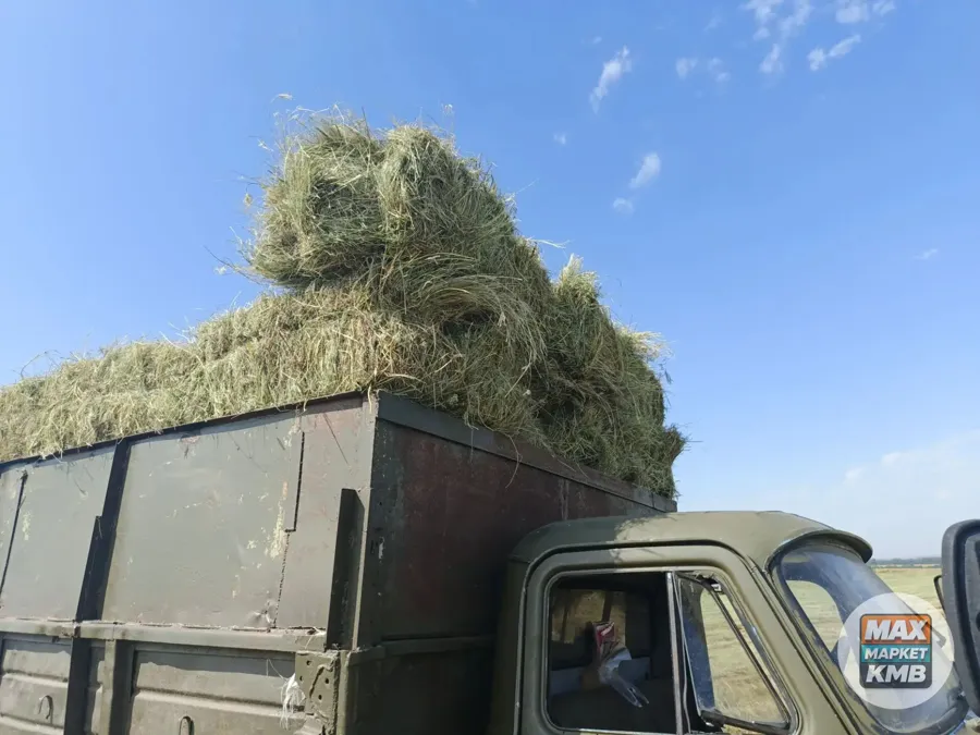 Сено луговое