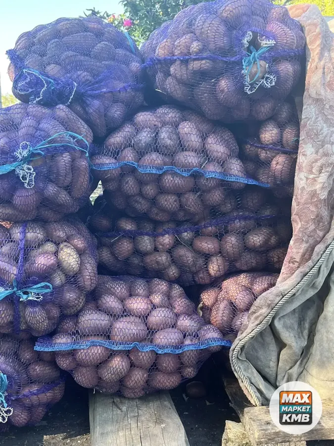 Домашний картофель, 50 ₽/кг
