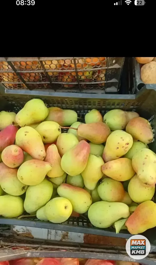 Чернослив и груша