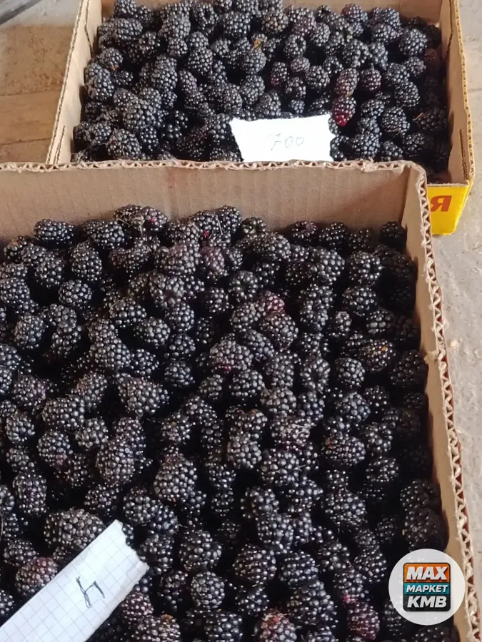 Ежевика свежая, 4 кг 700 г