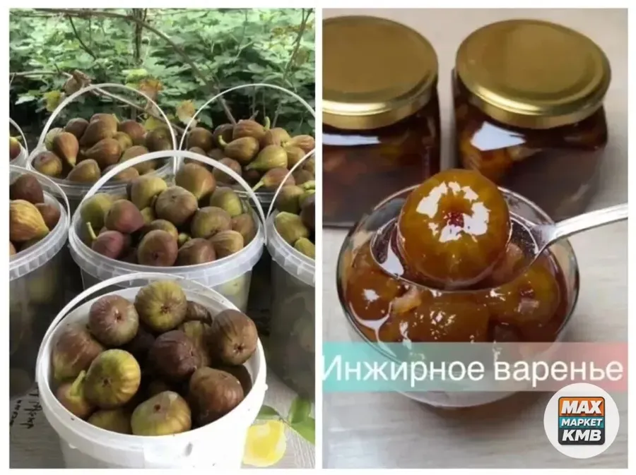 Варенье из инжира, целые плоды