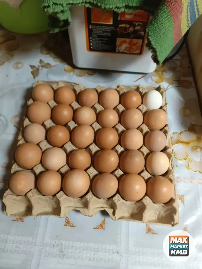 Яйцо куриное домашнее
