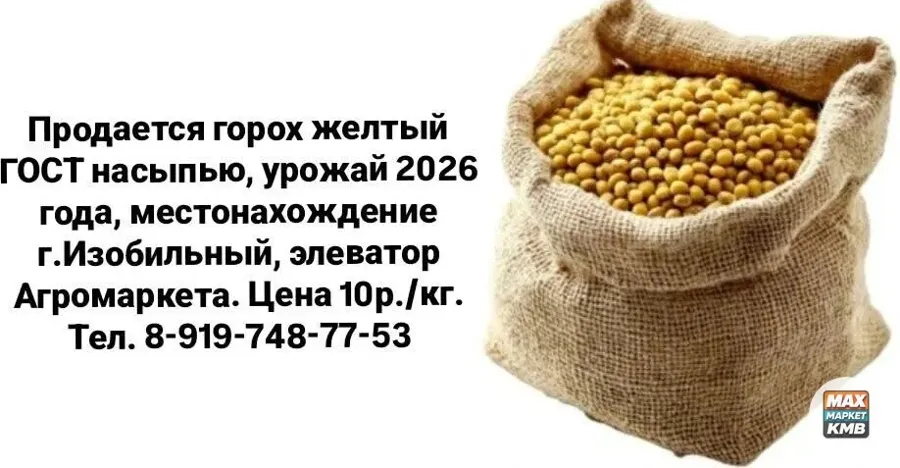 Горох жёлтый ГОСТ, насыпью