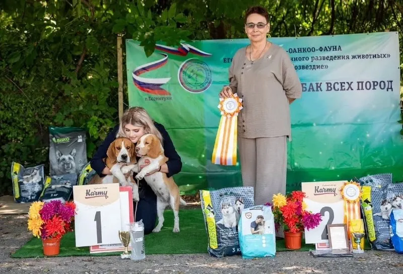 Пропали два бигля в Пятигорске