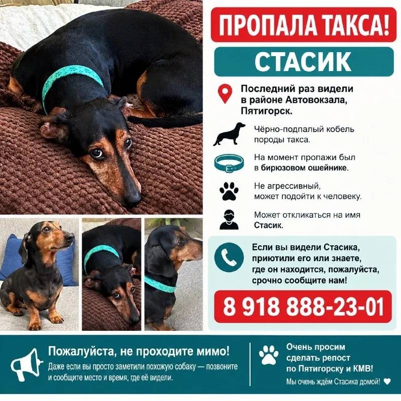 Пропала такса в Пятигорске
